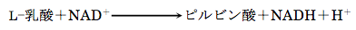 解説画像